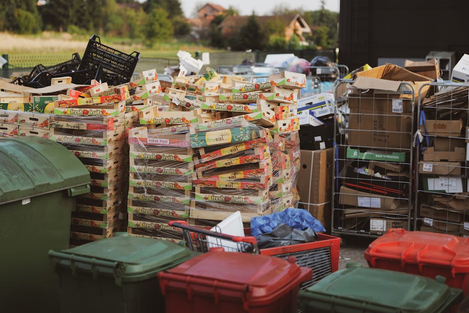 A large outdoor area shows numerous stacks of flattened cardboard fruit and vegetable boxes labeled 'fresh fruits,' arranged on the ground alongside several green, red, and gray plastic waste bins with closed lids. To the right, there are metal wire cages filled with cardboard boxes, some stacked and others leaning, and a few open cardboard cartons containing miscellaneous waste items. In the background, a paved surface extends towards a grassy area with trees and a distant house, indicating a suburban setting. Overhead natural daylight illuminates the scene, highlighting the textures of the cardboard and plastic bins, with the environment suggesting an off-site waste collection or recycling area managed by Rubbish Clearance Haringey, located on a driveway or designated rubbish storage space. The scene reflects a typical arrangement for organizing waste and recyclable materials outside a property, supporting private disposal or alternative rubbish clearance services rather than routine council collection.